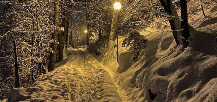 viale dei sogni inverno