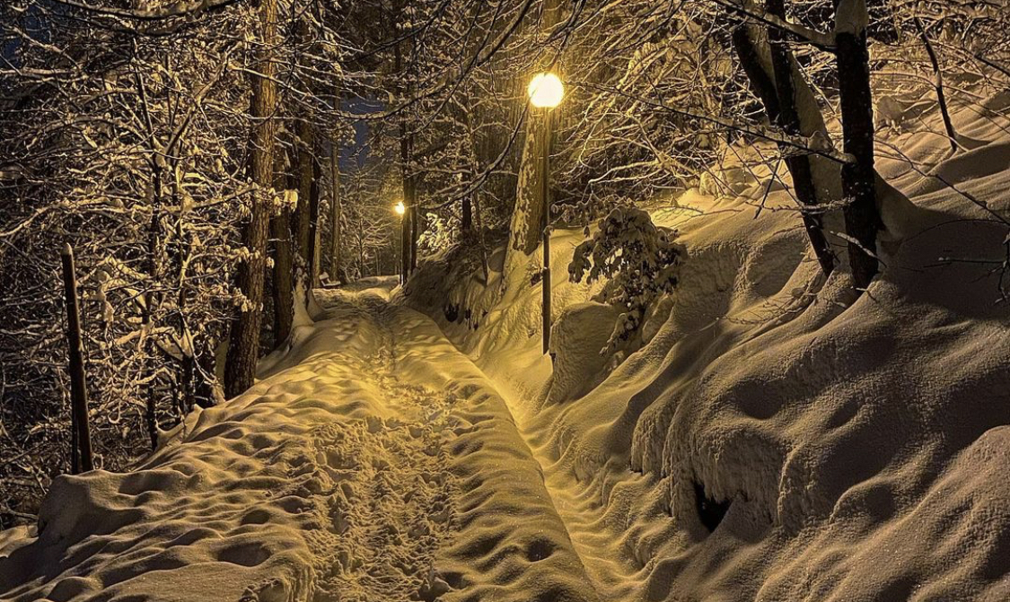 viale dei sogni inverno