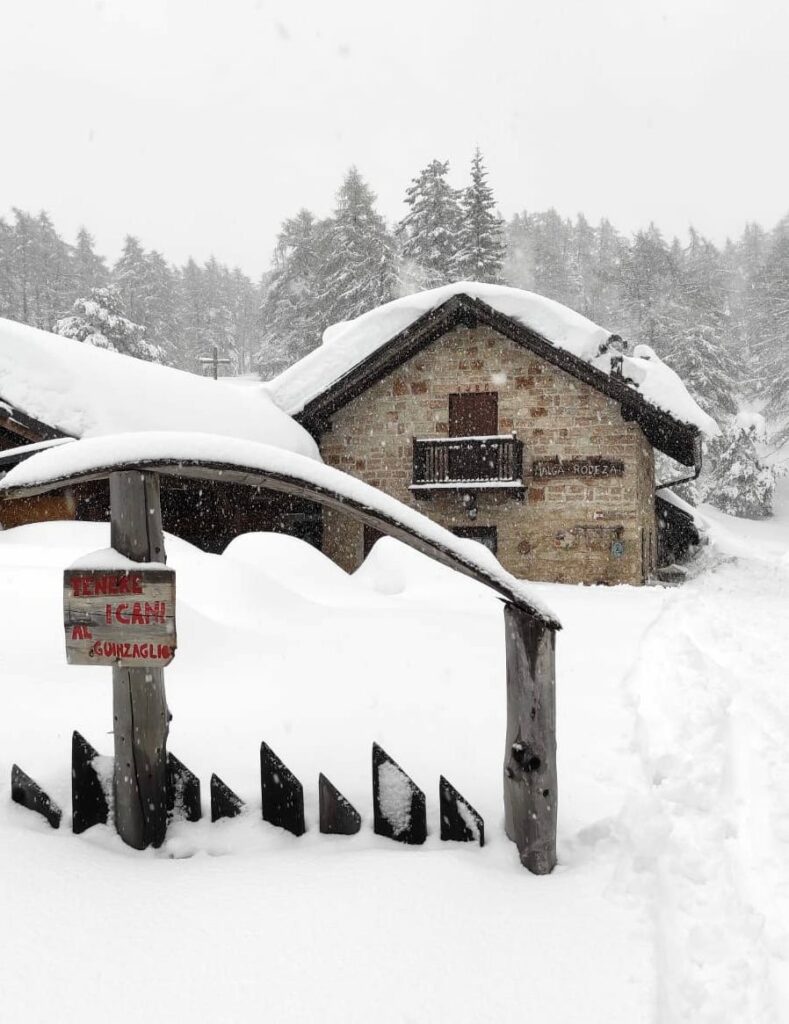 malga rodeza neve