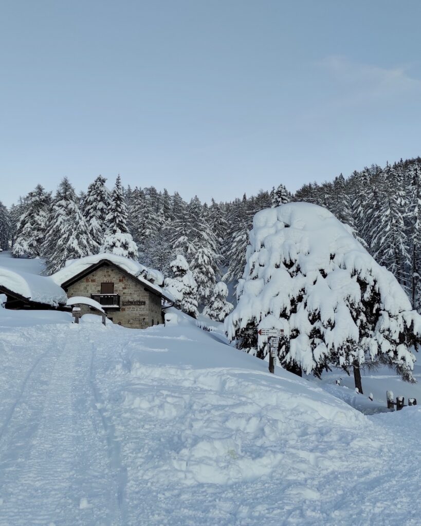 malga rodeza neve