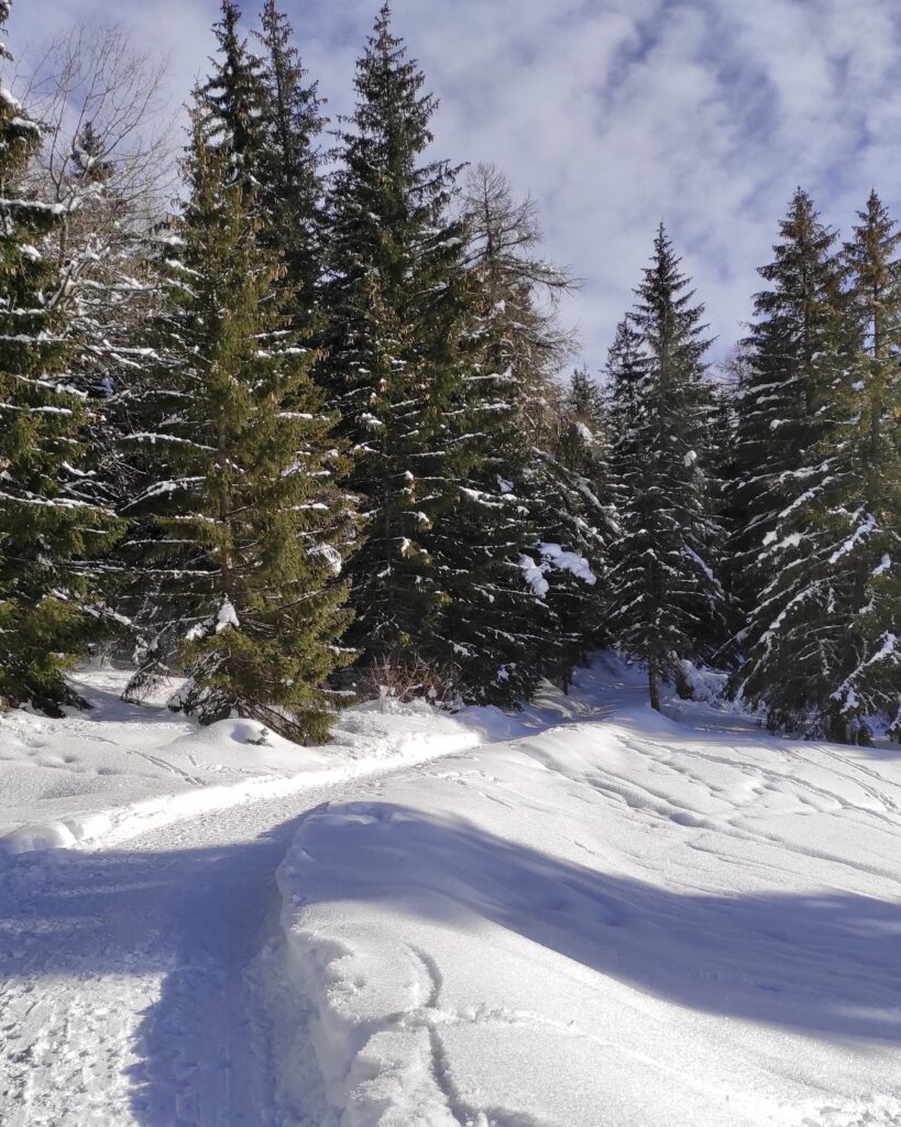 strada forestale per malga rodeza inverno