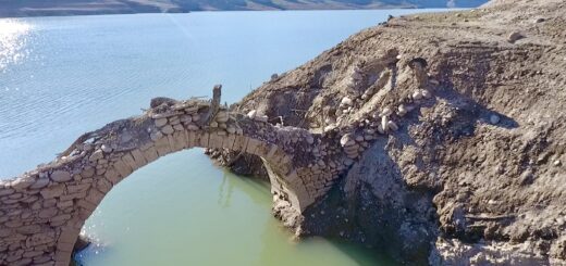 ponte della mula val di non