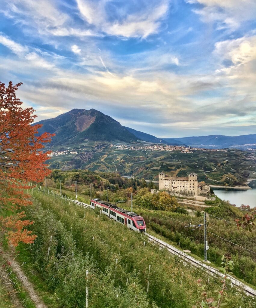 dos di pez trento male