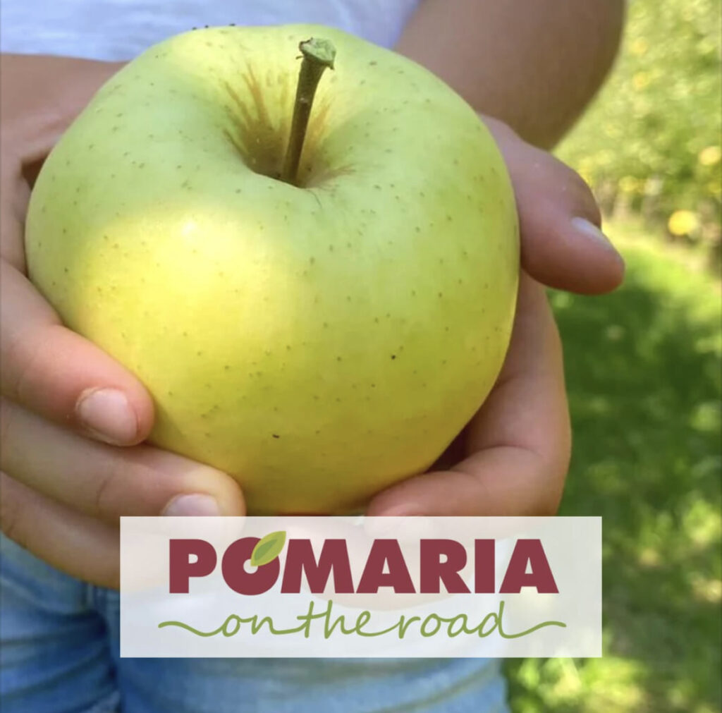 pomaria on the road