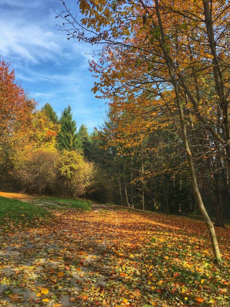 autunno escursioni