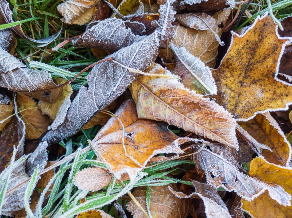 escursioni autunno brina