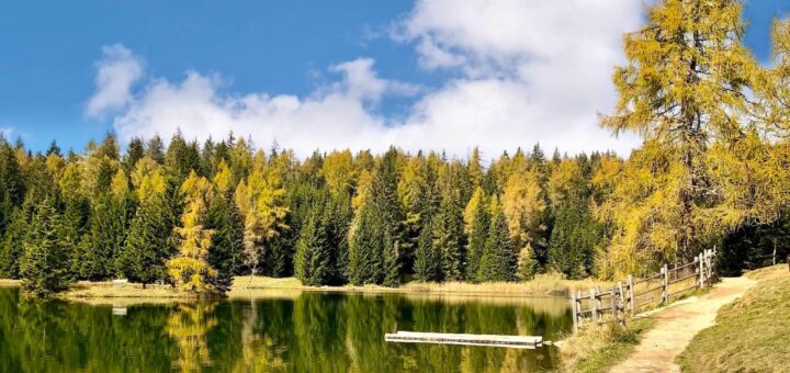 tret autunno