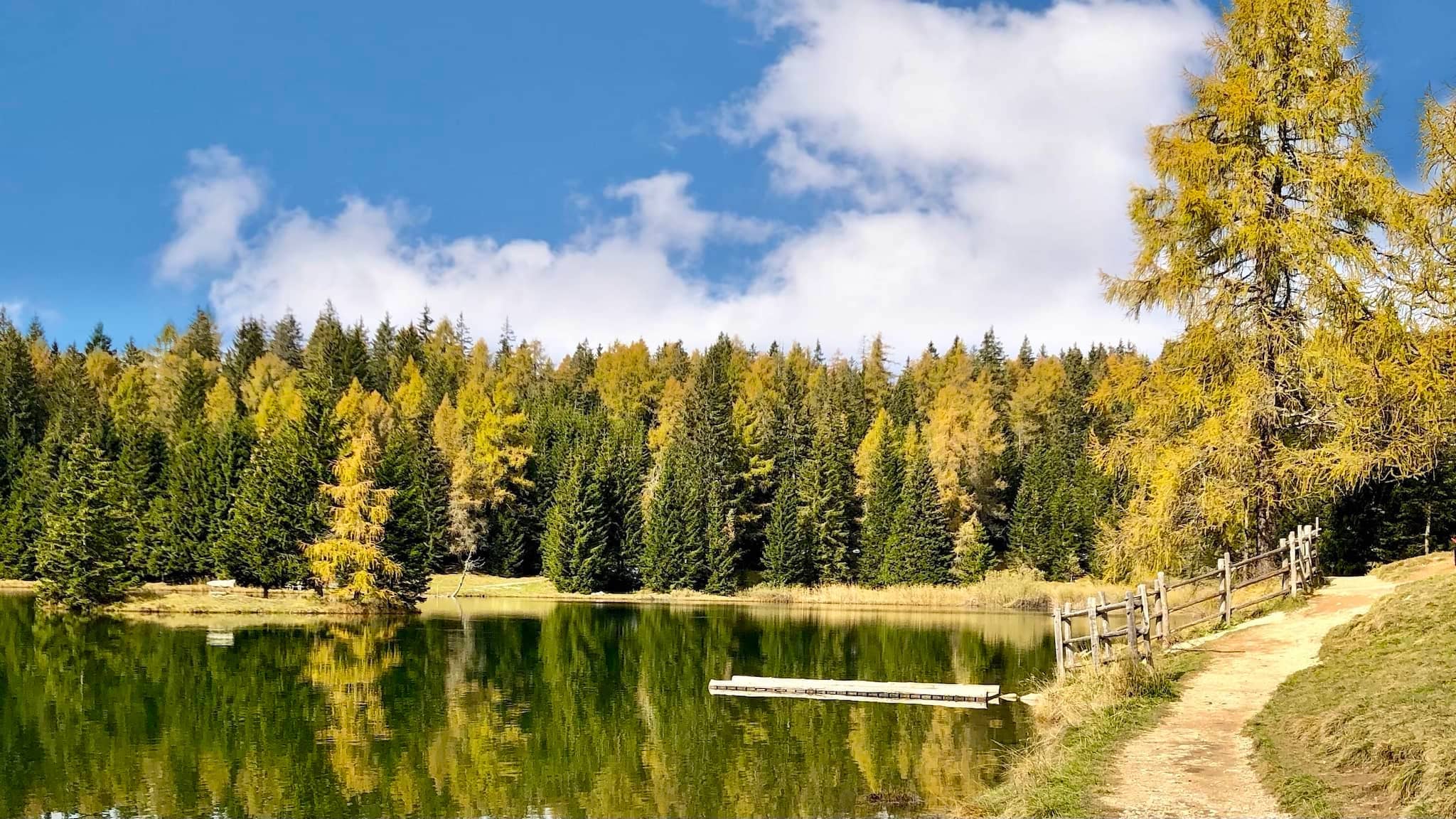 tret autunno