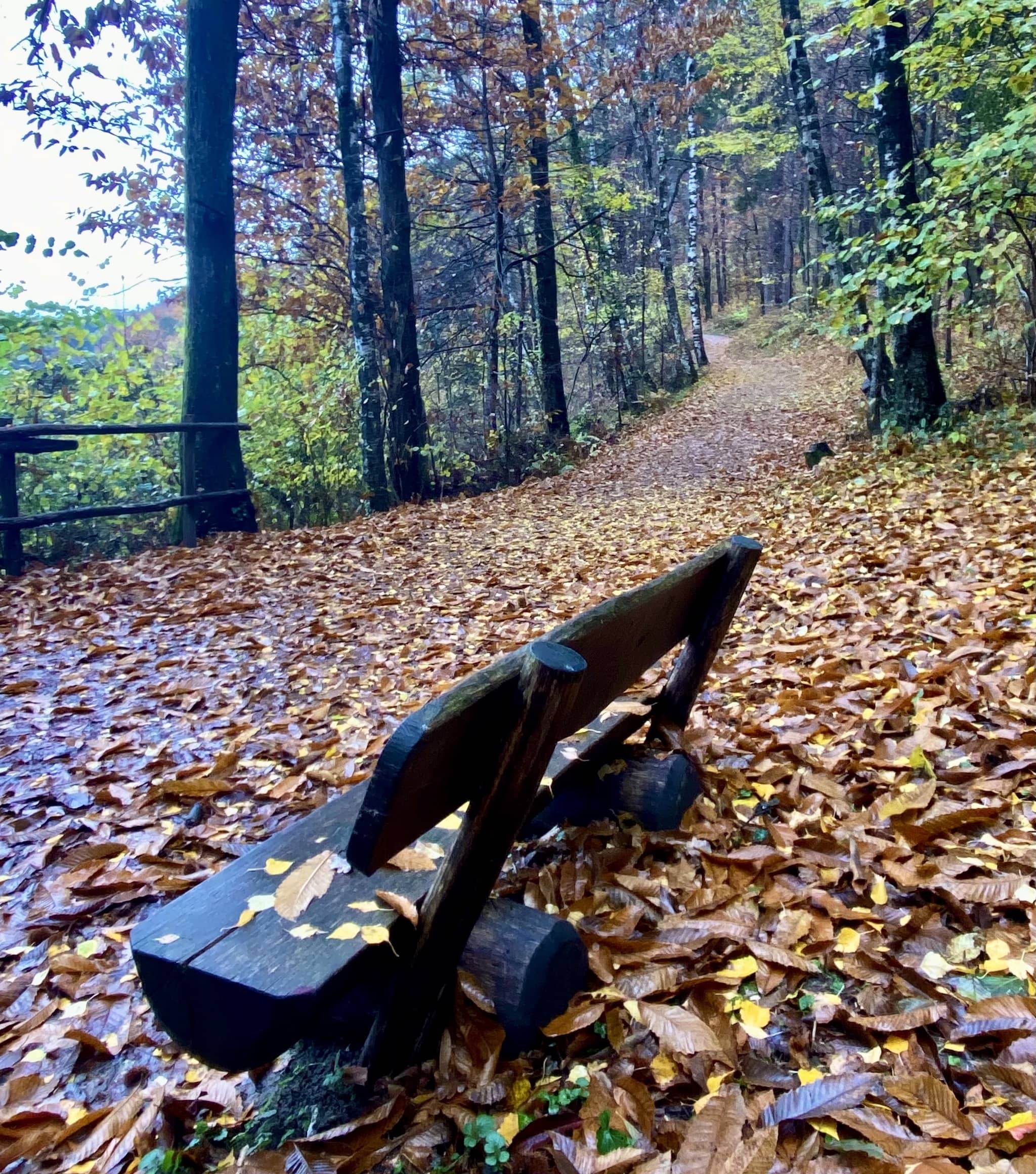 giro dei laghi di monticolo autunno