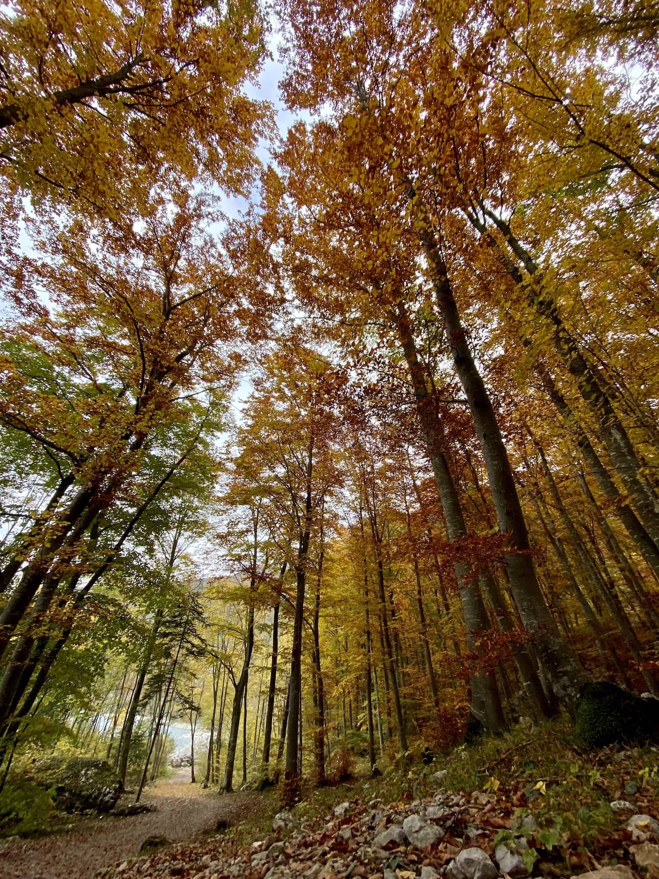 giro del lago di molveno in autunno