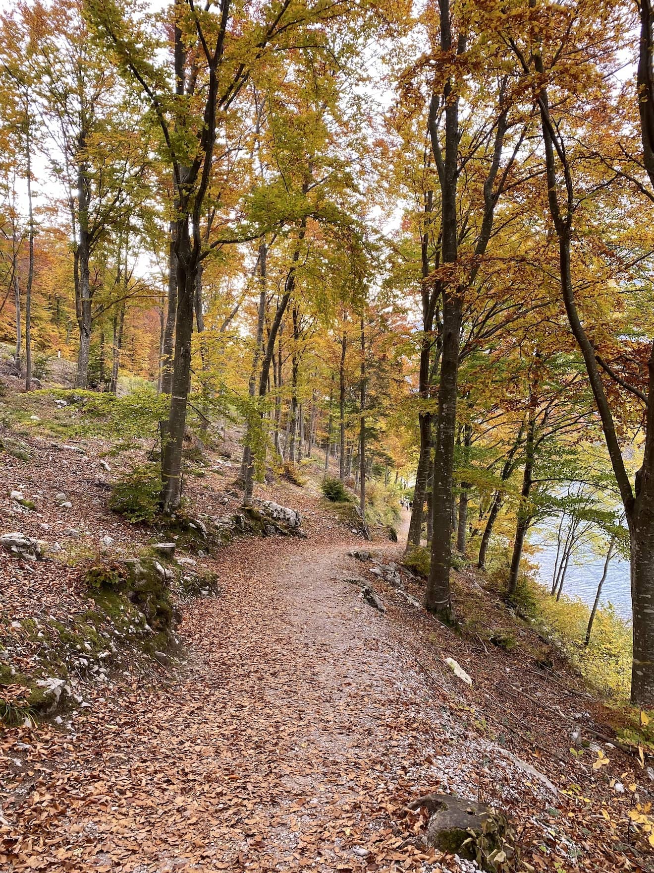 giro del lago di molveno