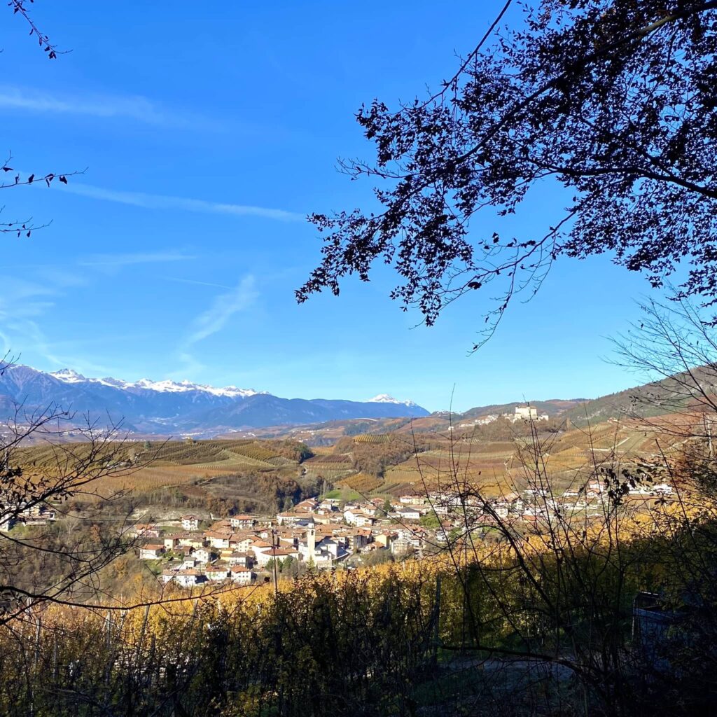 vista su vigo di ton