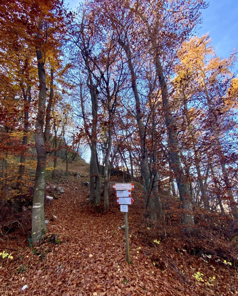 percorso torre di visione autunno