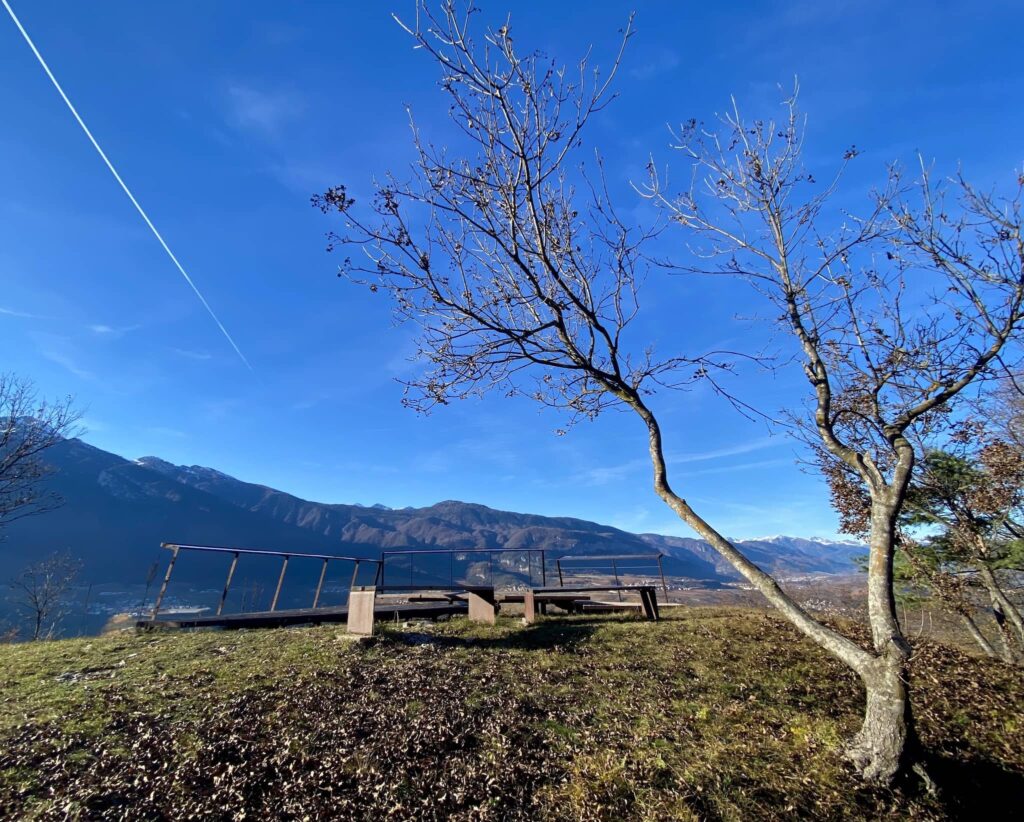 torre di visione autunno