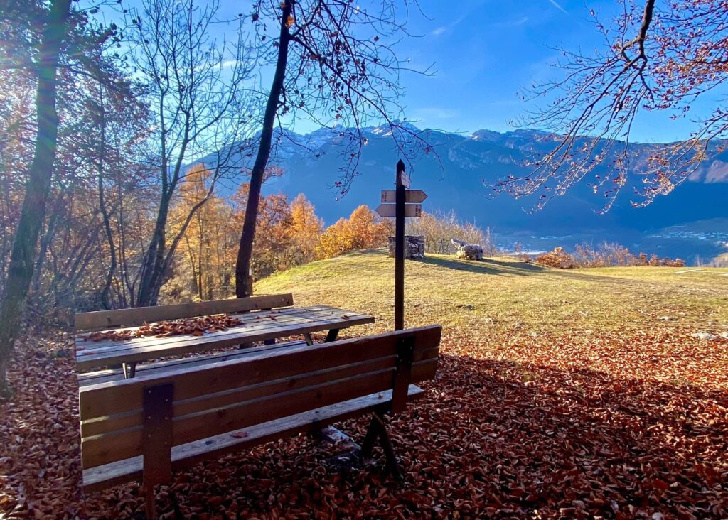 torre di visione in autunno