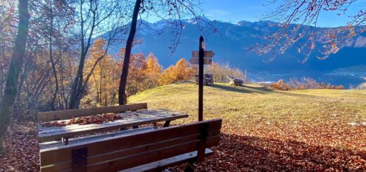 torre di visione in autunno