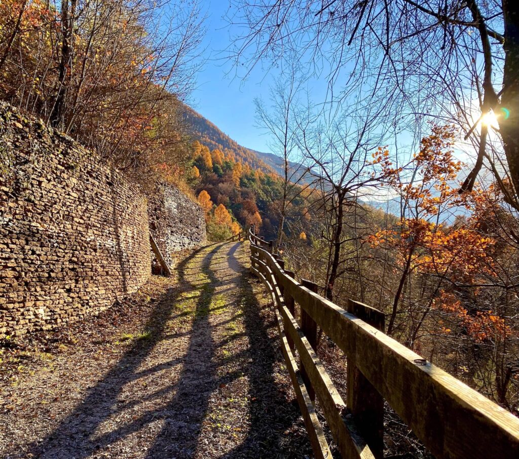 percorso torre di visione autunno