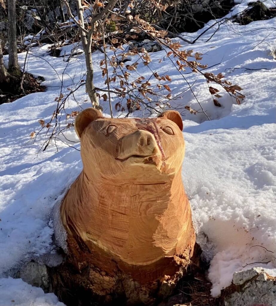 orso percorso torre di visione