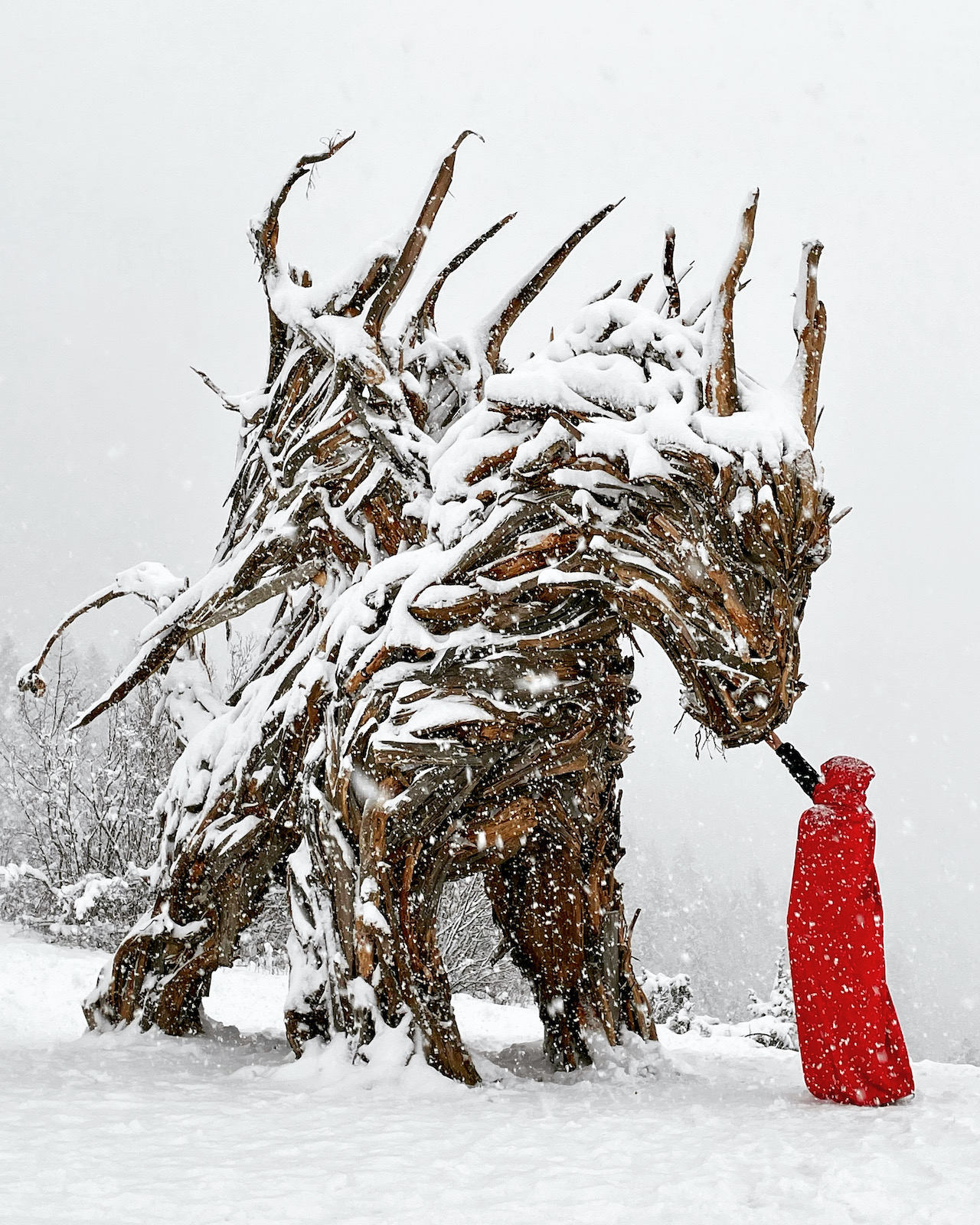 drago vaia come arrivare con bambini