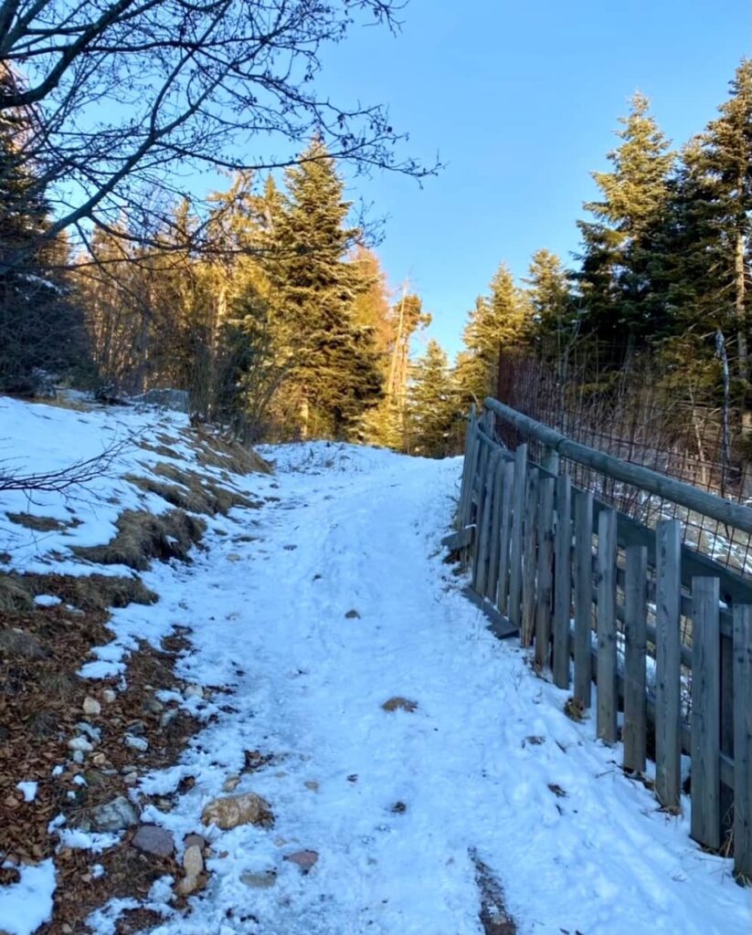 sentiero mendola monte penegal inverno