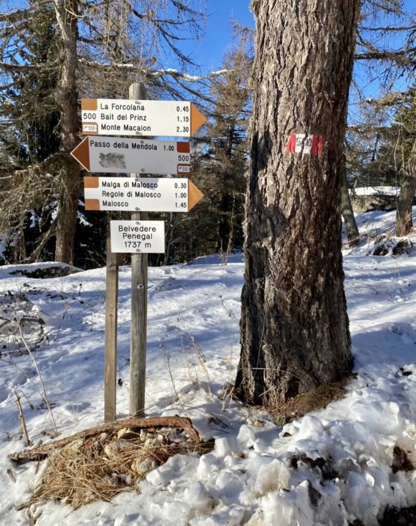 sentiero mendola monte penegal inverno