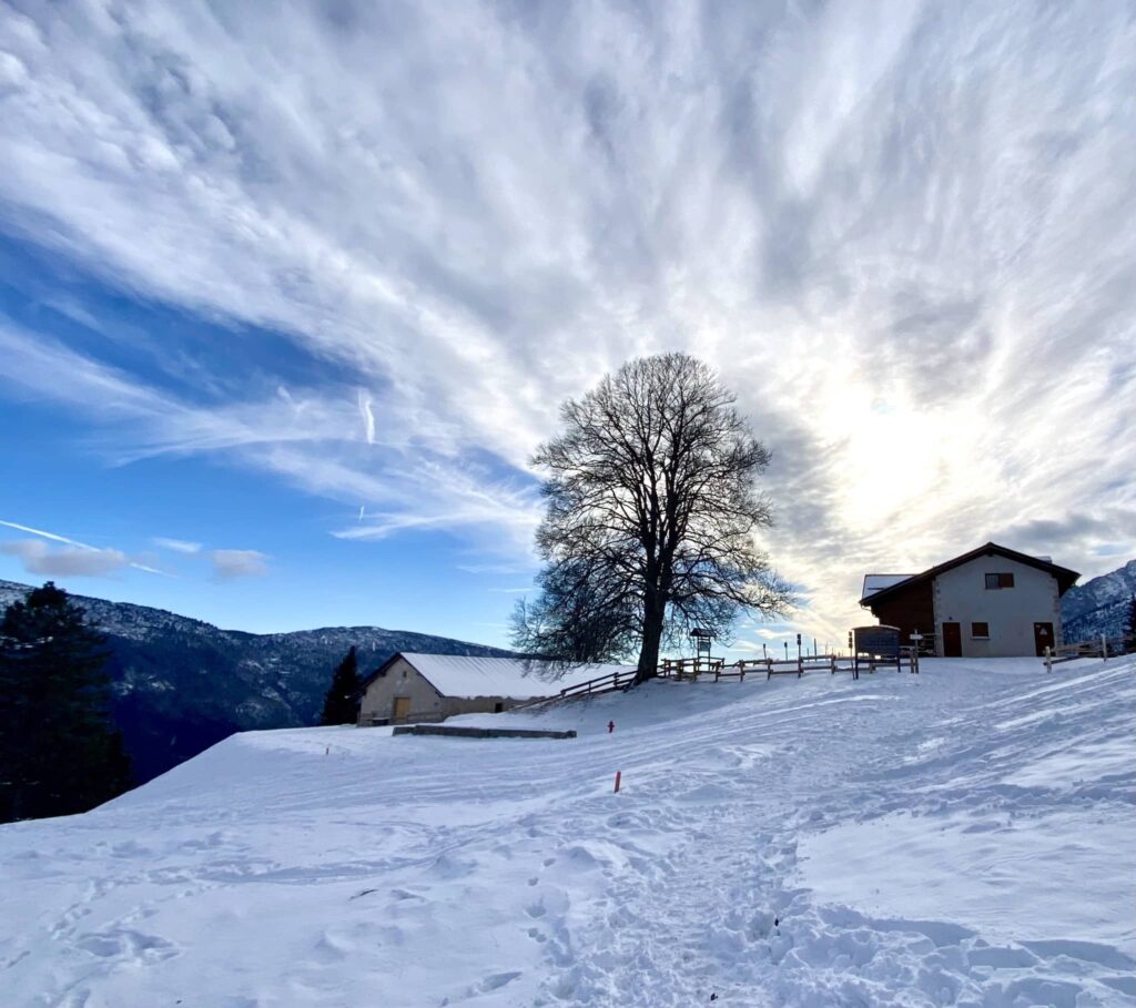 malga tovre inverno