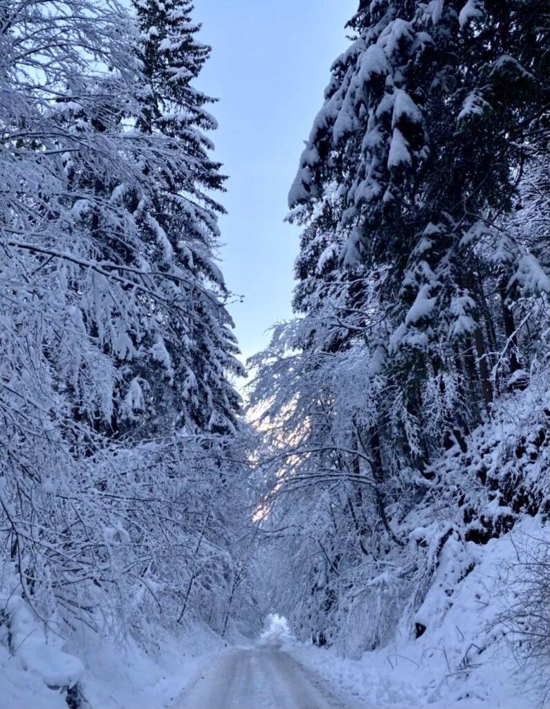 giro rifugio la montanara andalo