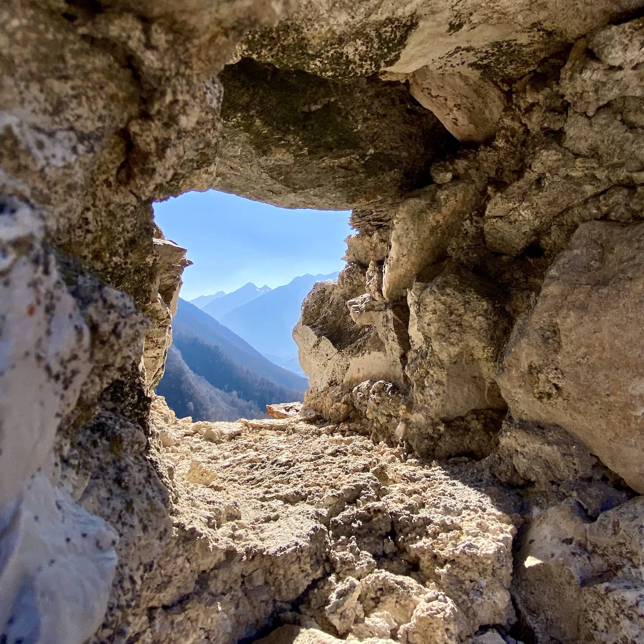 Camminata nel bosco fino a Castel San Pietro