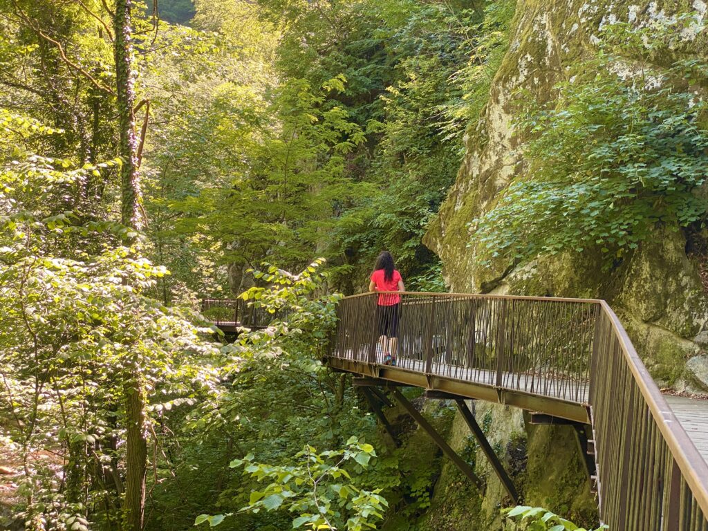 Gaulschlucht gola di lana