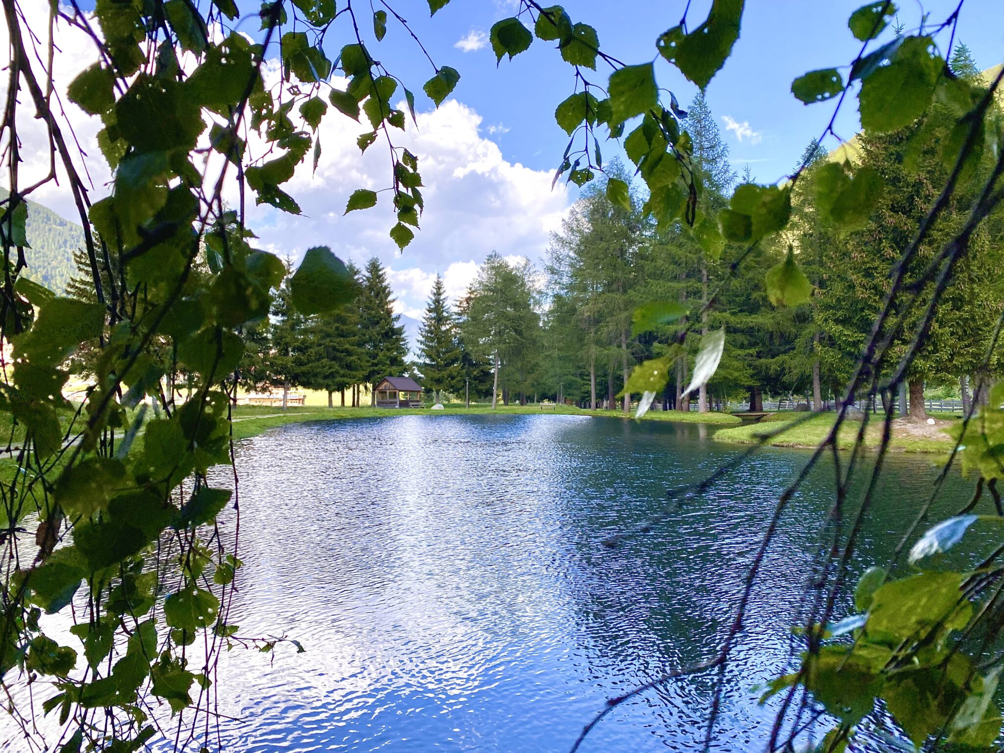 parco dei laghetti di falchera