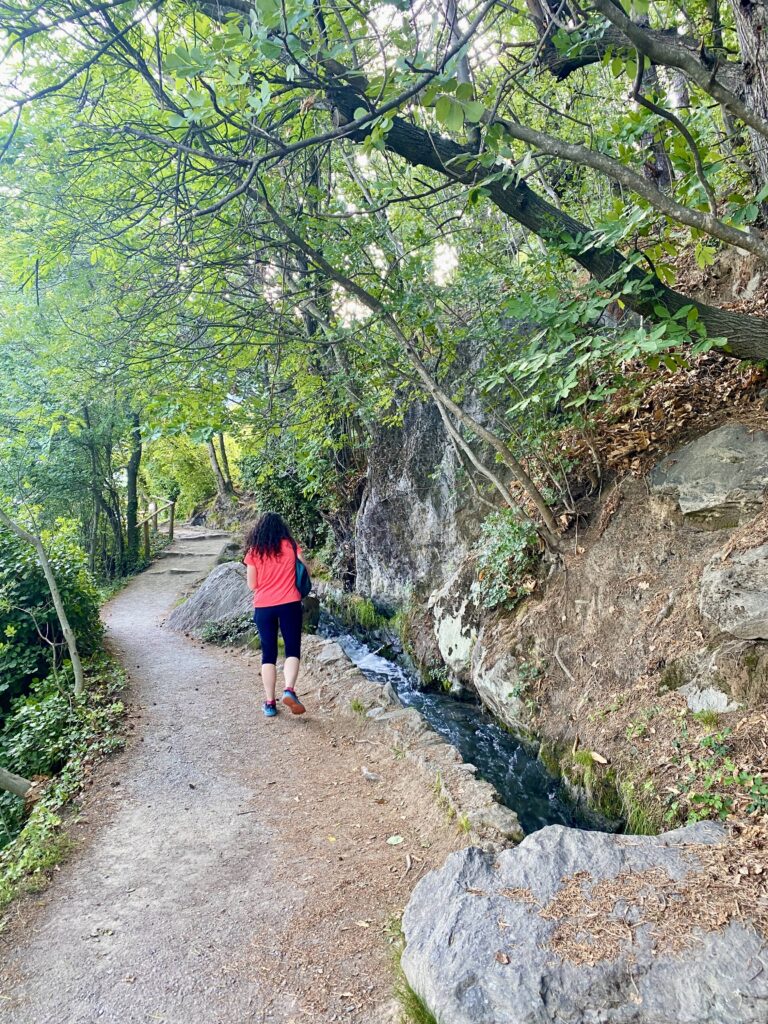 ratto del sentiero nel bosco, a destra scorre l'acqua nel fosso e nella roccia che sale verso il bosco