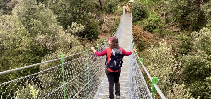 ponte tibetano torri del benaco