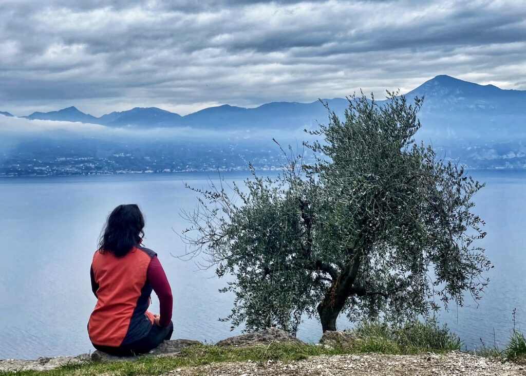 vista sul lago di garda