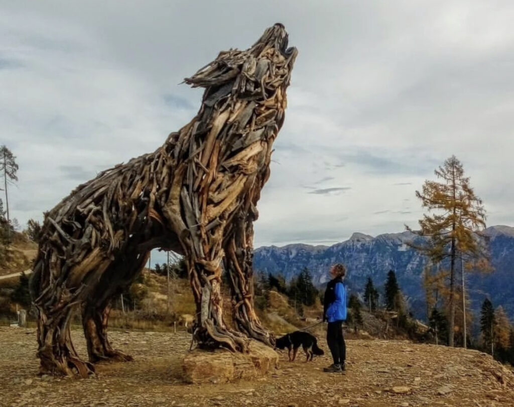 lupa di vaia autunno