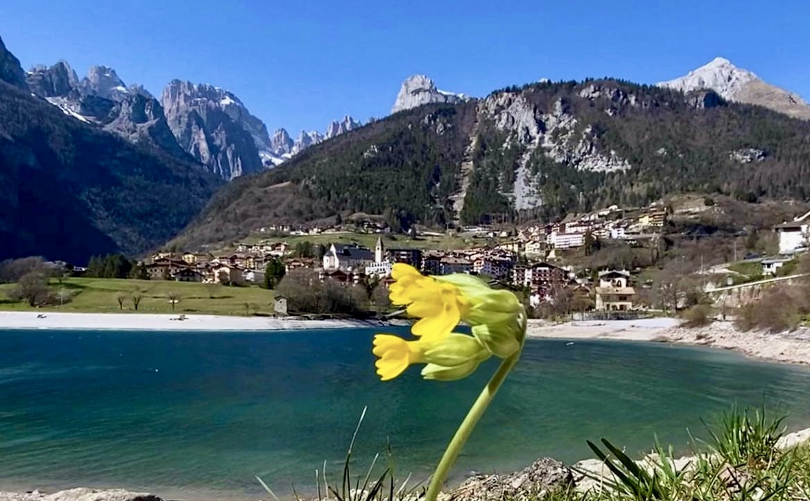 passeggiate facili in trentino