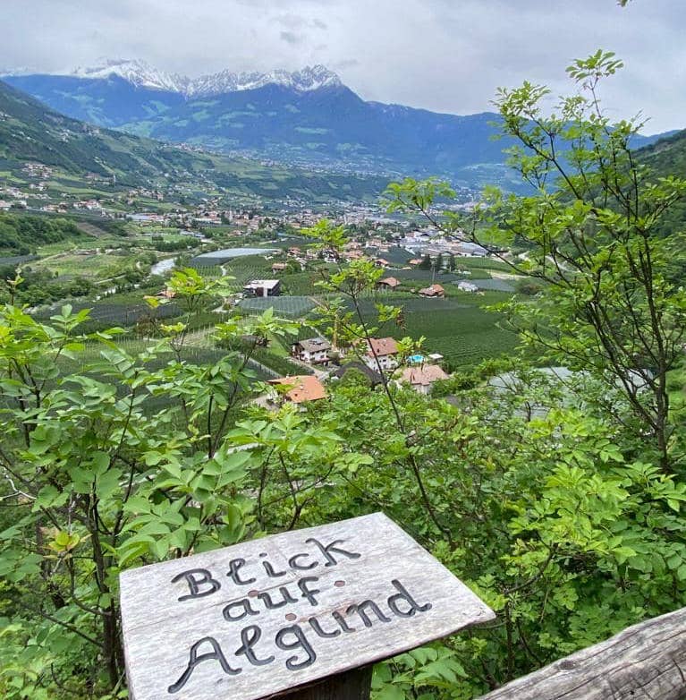 In primo piano un'insegna in legno tra le foglie verdi dice "blick auf Algund" in lontananza un paesaggio con case circondate da tanto verde coltivato