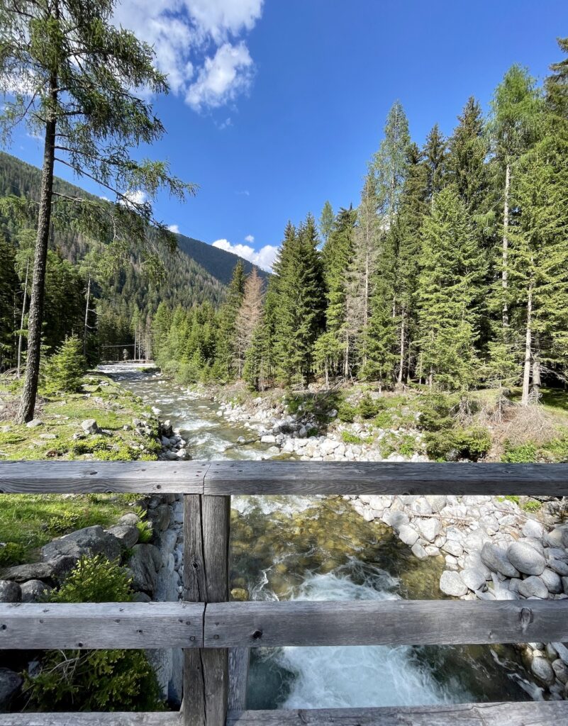 torrente vermigliana