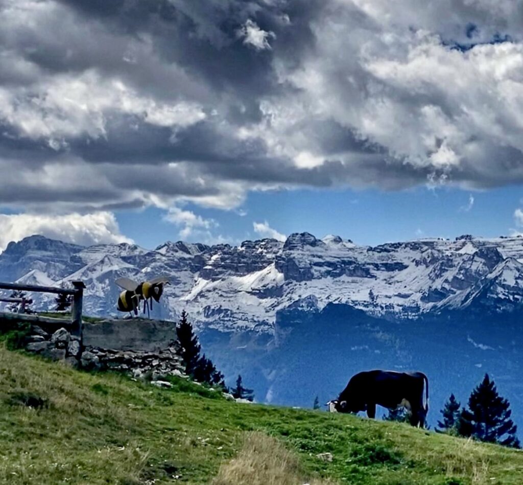 vista sulle dolomiti di brenta