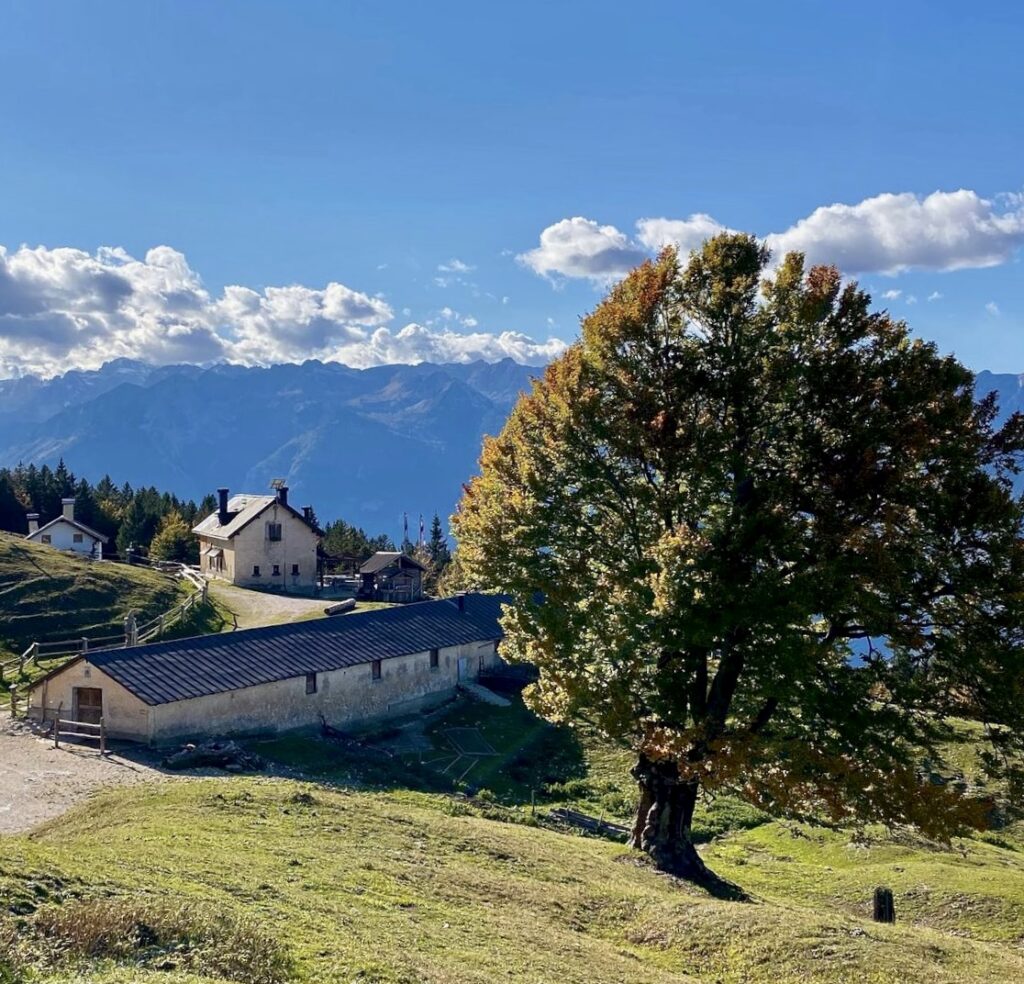 malga bodrina autunno