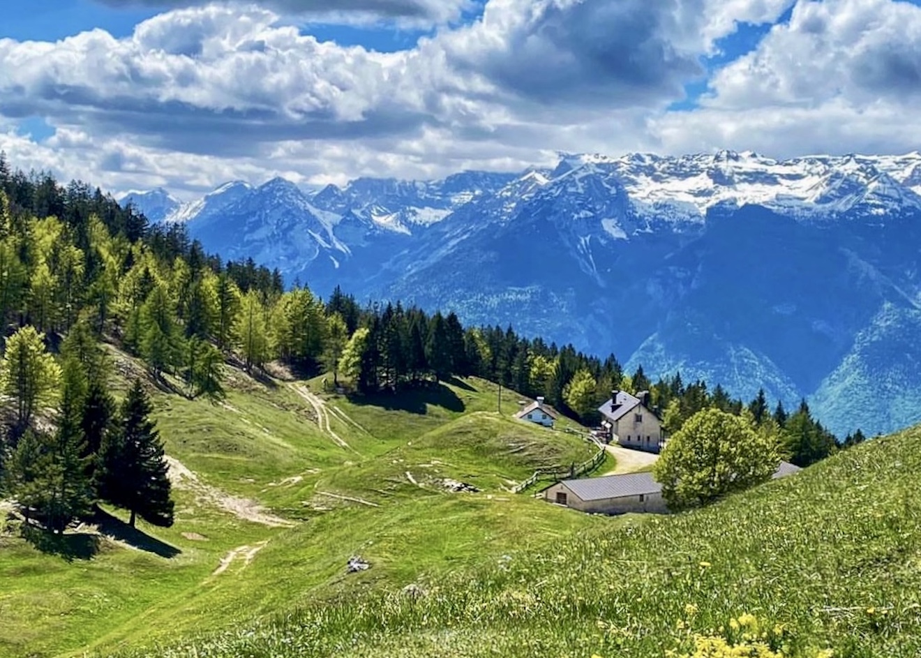 malga bodrina val di non