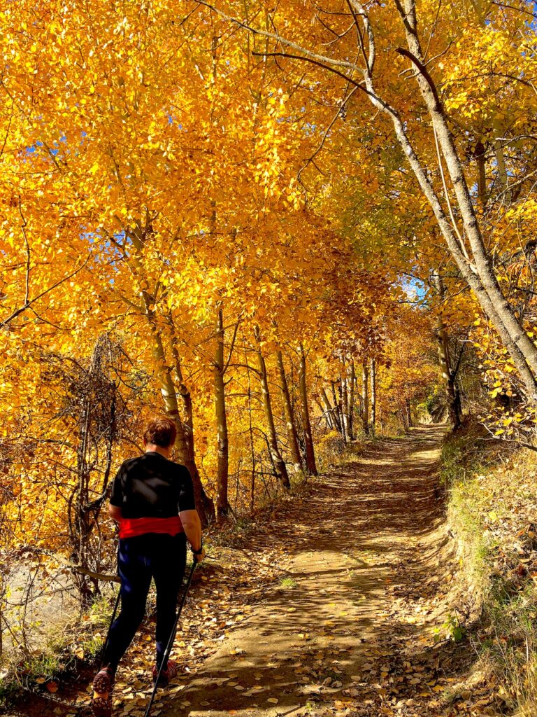 escursioni in autunno