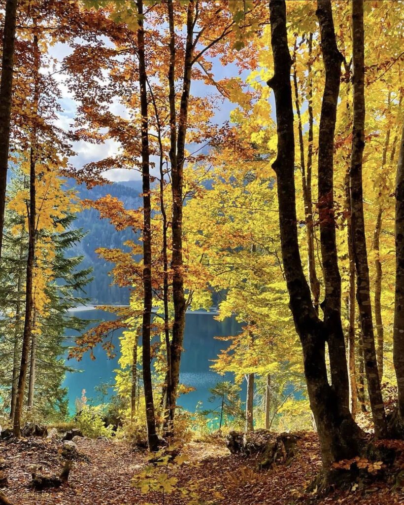 foliage lago di tovel autunno