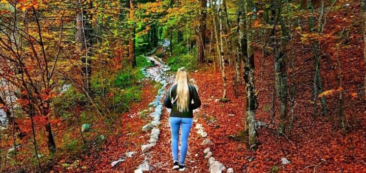 passeggiate autunno in val di non