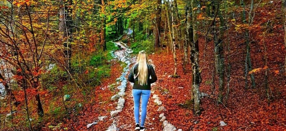 passeggiate autunno in val di non