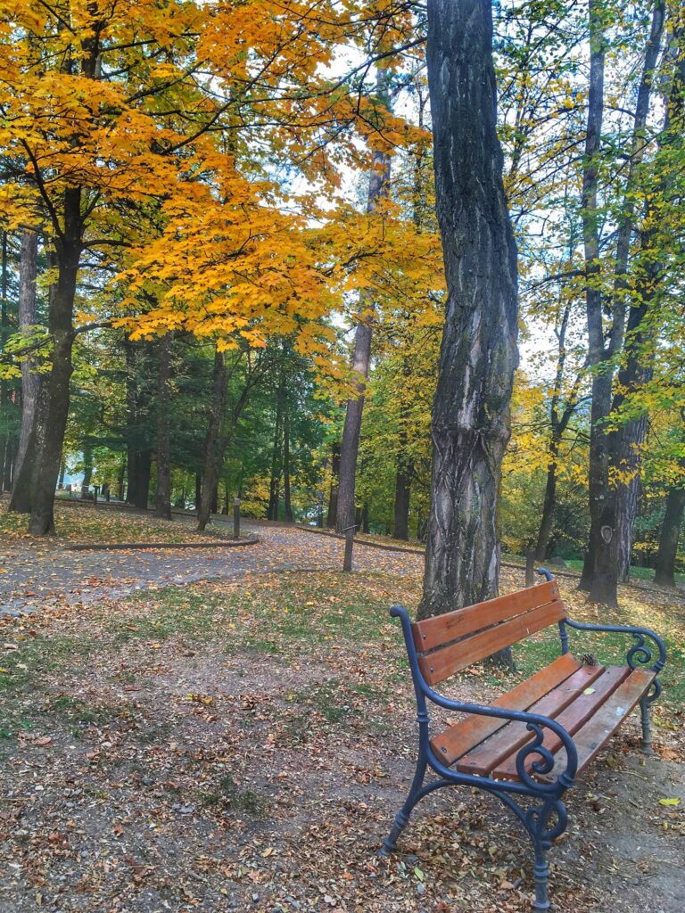 parco doss di pez in autunno