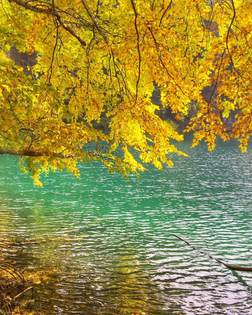 foliage al lago di tovel val di non