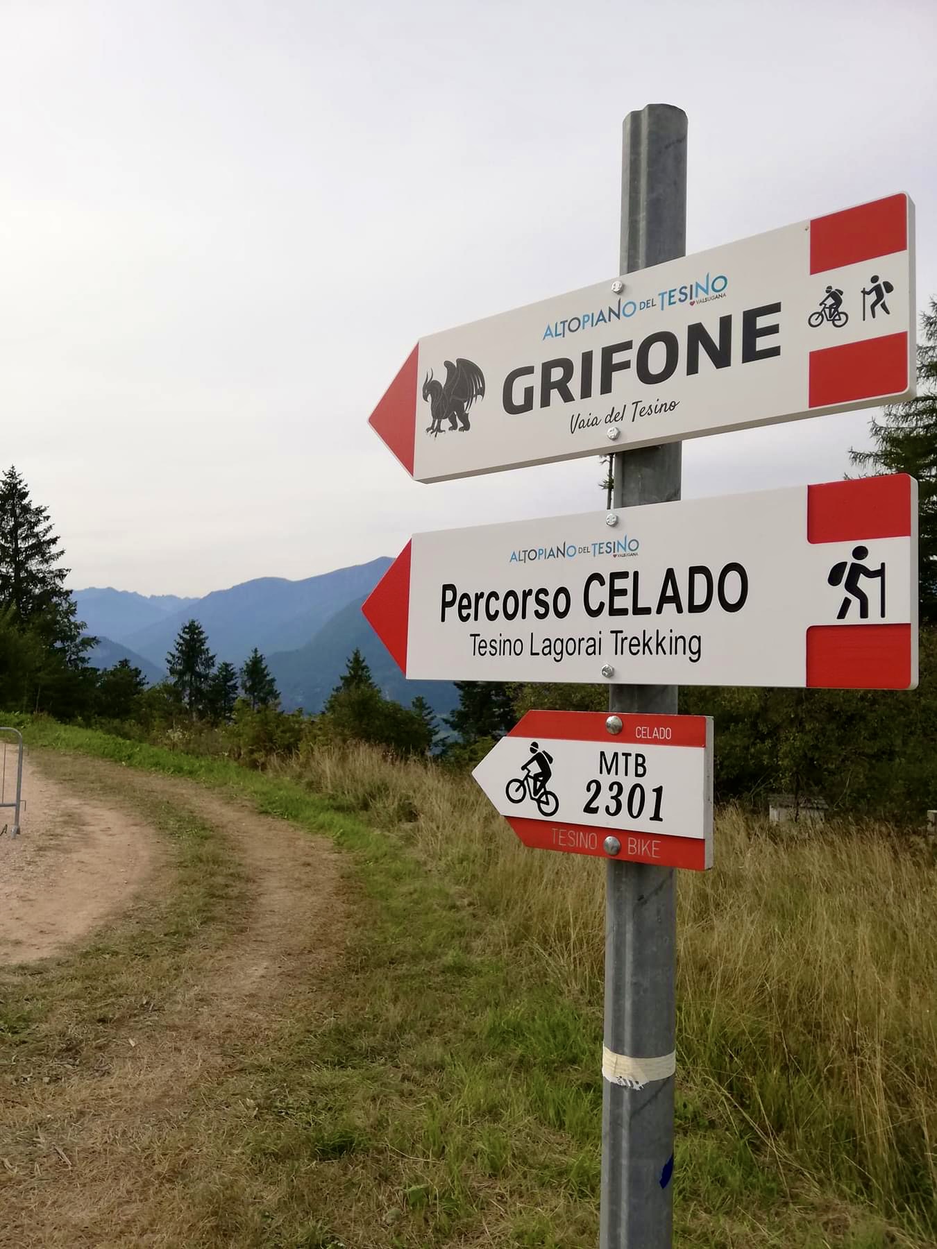 tenuta i cavalieri del grifone