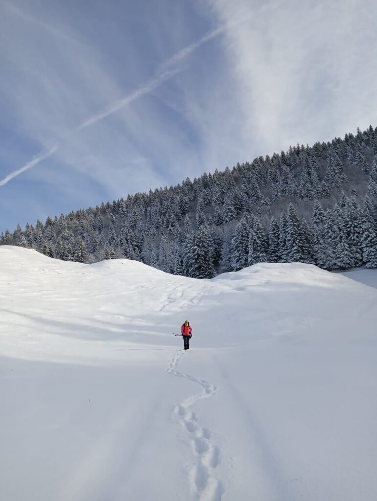 il limite del bosco e poi la piana innevata con le tracce del passaggio di una persona che è sullo sfondo