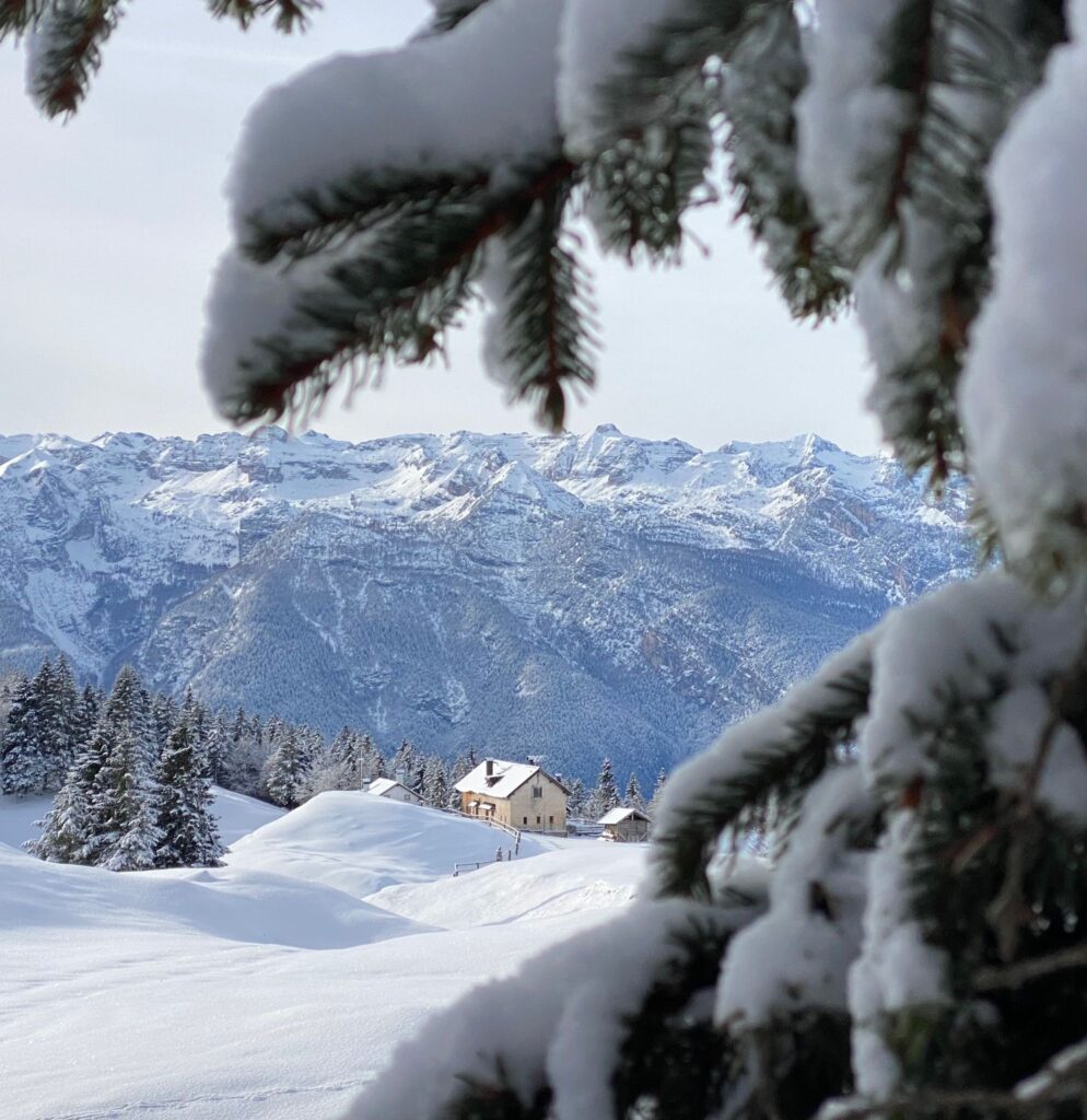 vista su malga bodrina e le dolomiti di brenta innevate